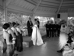 3766171055_528286deab_m