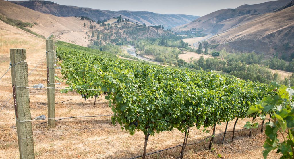 lewis-clark-valley-ava-colters-creek-20-1024x553