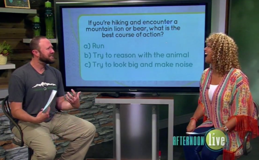 Screenshot 2018-08-19 at 7.05.00 PM (1)