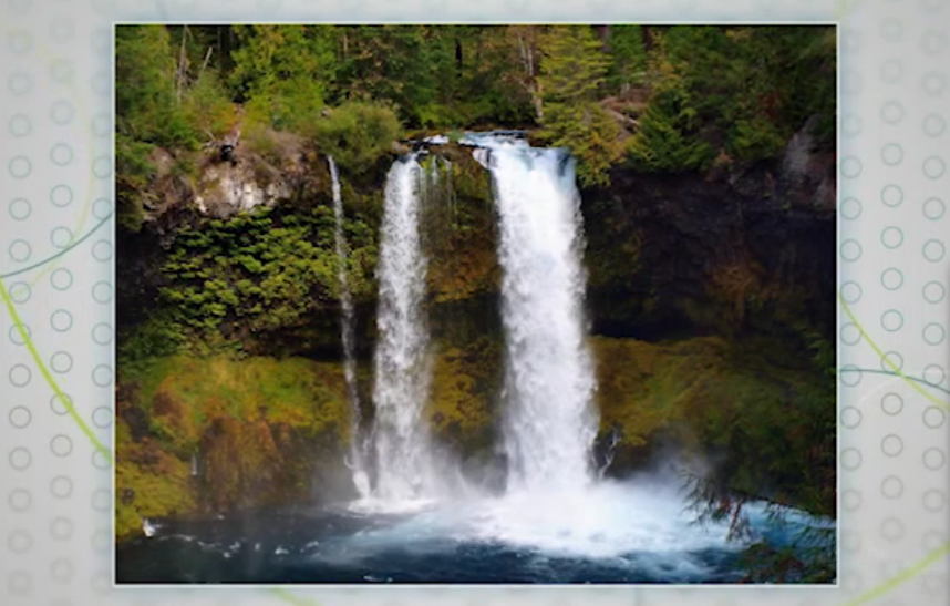 Screenshot 2018-11-19 at 9.00.08 AM (1)