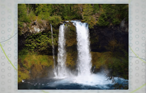 Screenshot 2018-11-19 at 9.00.08 AM (1)