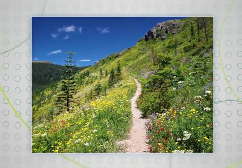 Screenshot 2019-05-29 at 9.30.14 AM (1)