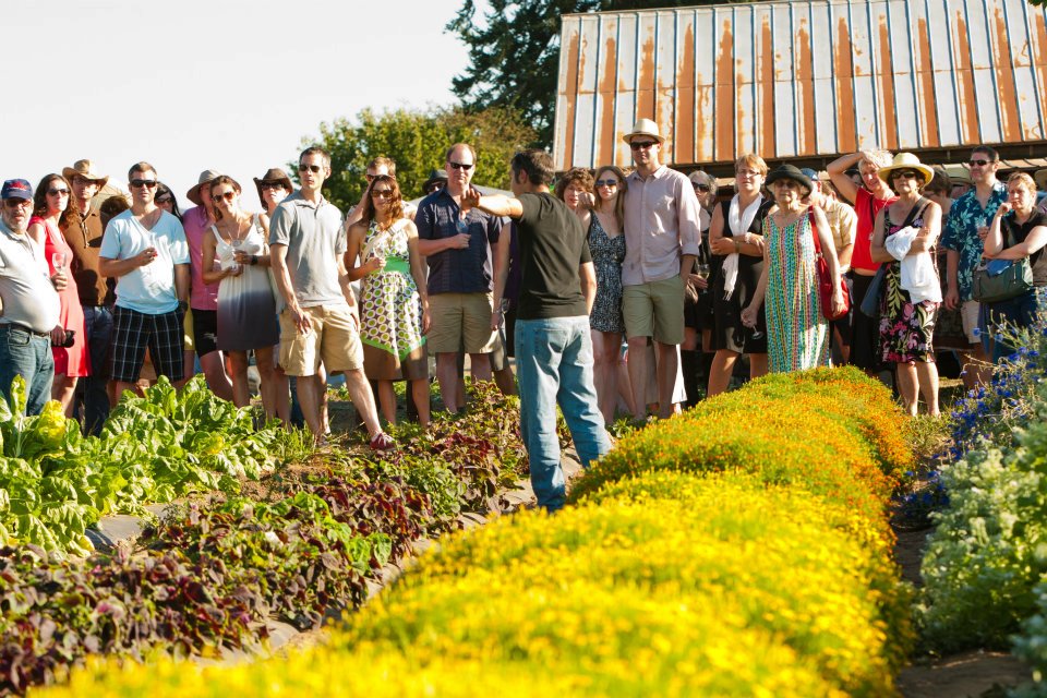 P and P Farm Tour Viridian - Polmar