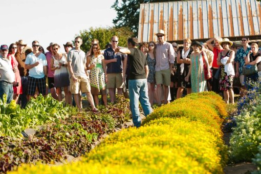 P and P Farm Tour Viridian - Polmar